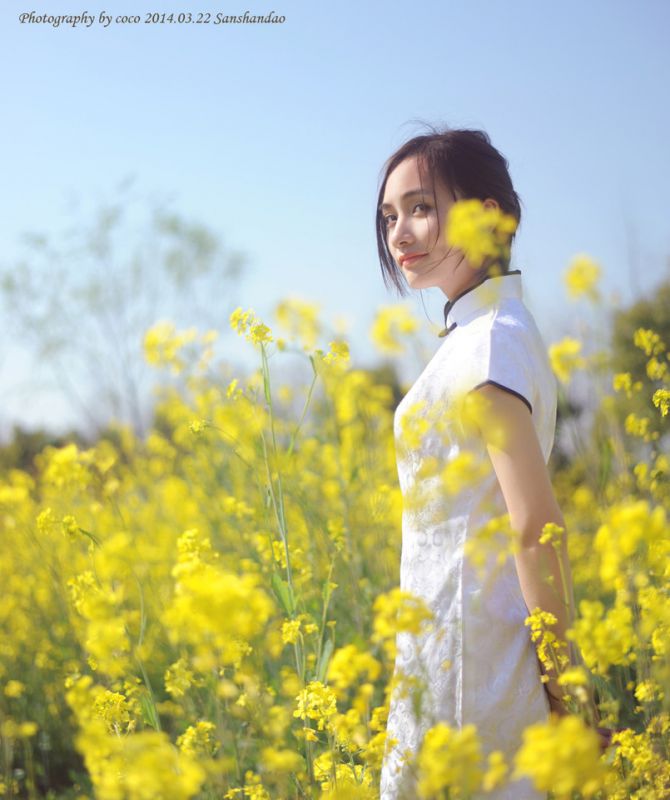 古典旗袍美女油菜花田里风情写真