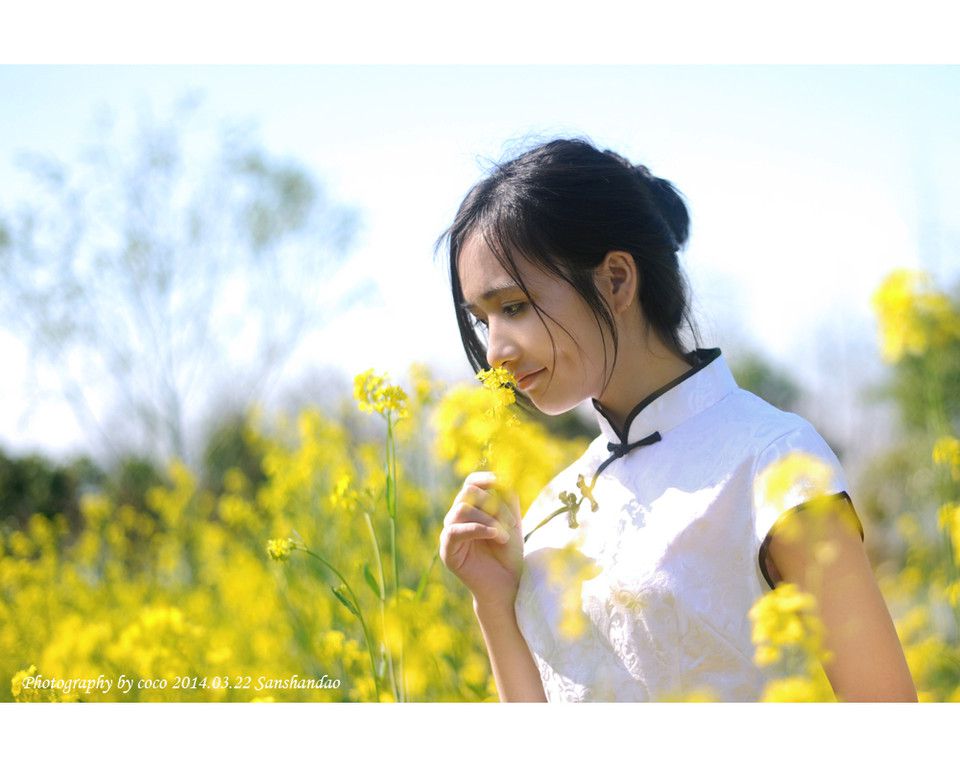 古典旗袍美女油菜花田里风情写真
