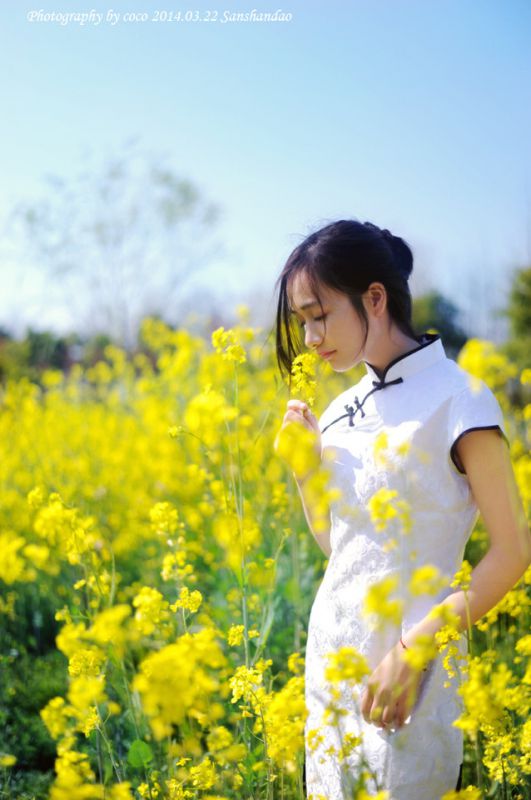 古典旗袍美女油菜花田里风情写真