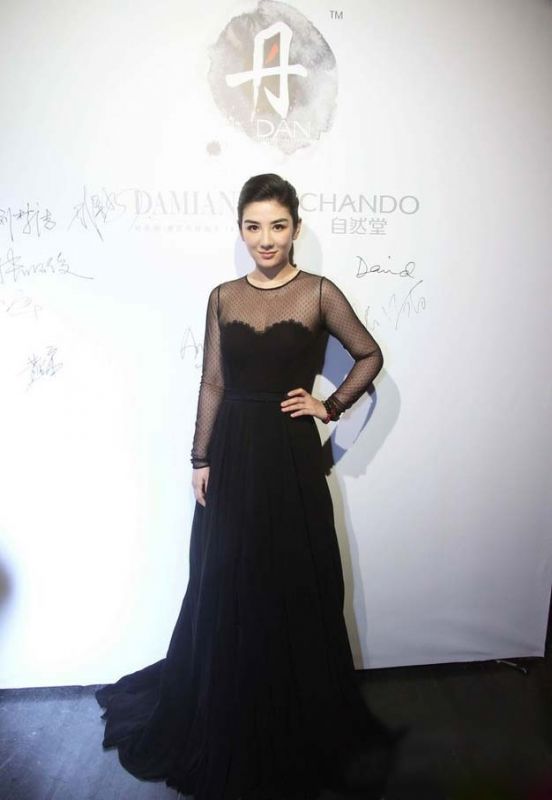 优雅蕾丝长裙女星黄奕高清活动照