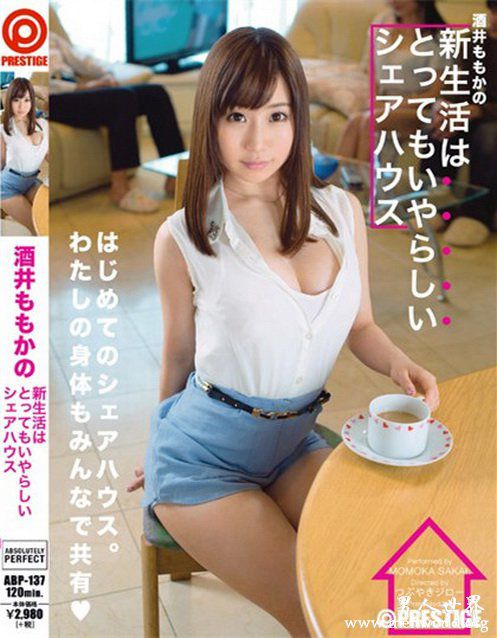 酒井桃香nbsp酒井桃香出道至今的作品番号封面合集大全
