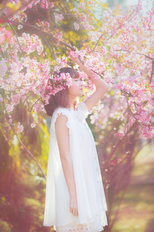 桃花树下的清纯女生貌美如花