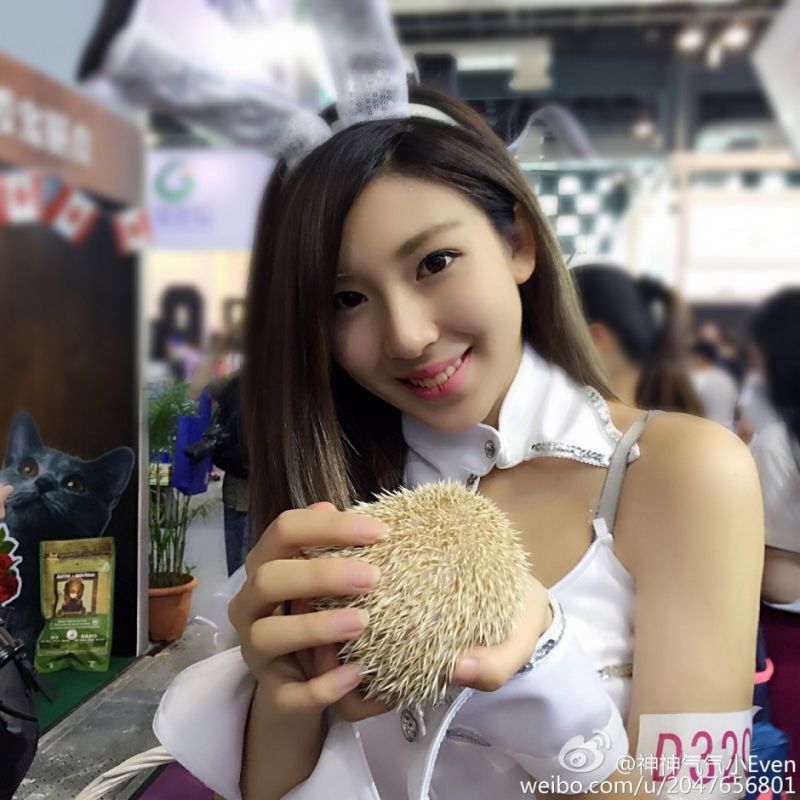 长腿美女神神气气小Even微博写真图片