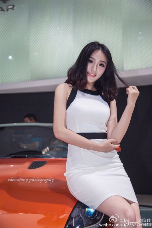 美女车模特刘文佳车展摄影图片