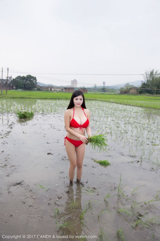 混血美女林美惠子比基尼写真秀丰满身材