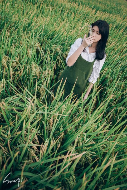 清纯美女稻田唯美写真白嫩迷人