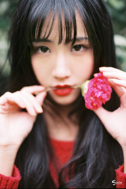 古典气质美女茶花树下唯美写真