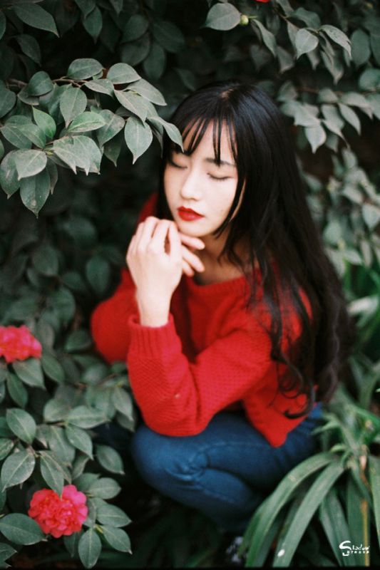 古典气质美女茶花树下唯美写真