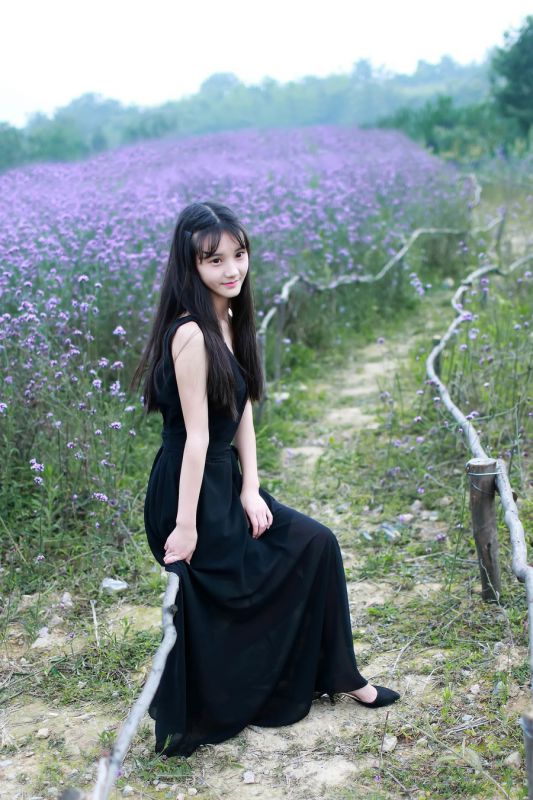 清纯美女薰衣草花田高清写真