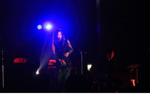 美女明星田原音乐节演唱图片