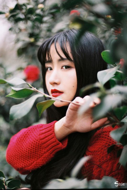 古典气质美女茶花树下唯美写真