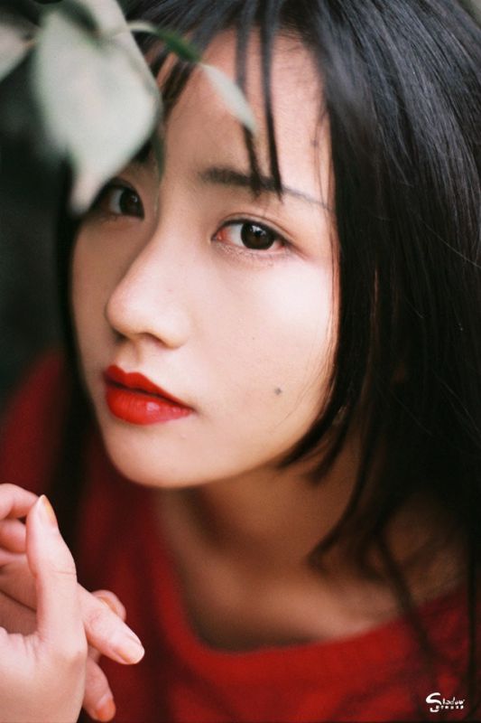 古典气质美女茶花树下唯美写真