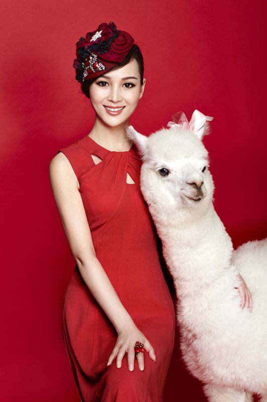 张可儿抱羊驼拍摄甜美写真大片