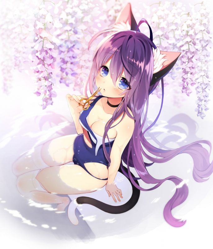 猫耳娘h