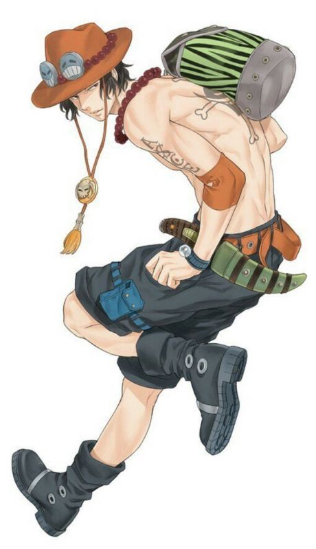 海贼王hentai汉化