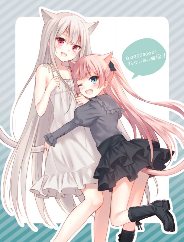 猫耳娘h