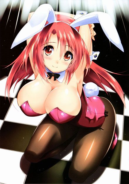 二次元兔女郎h