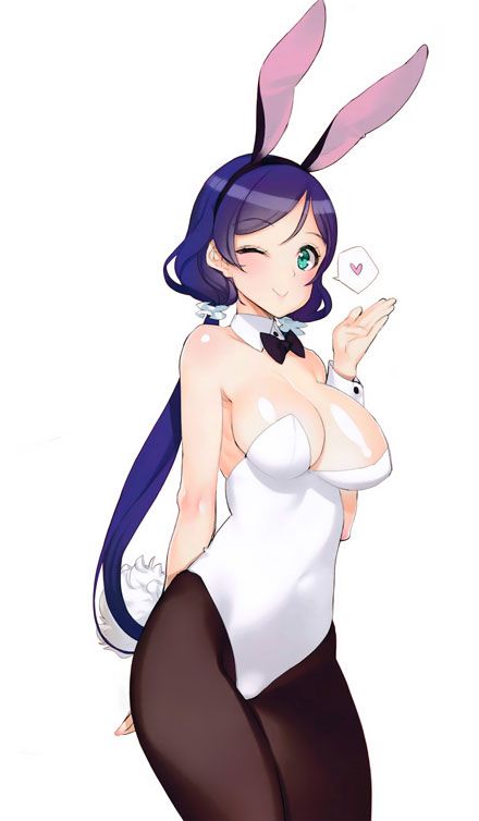 二次元兔女郎h