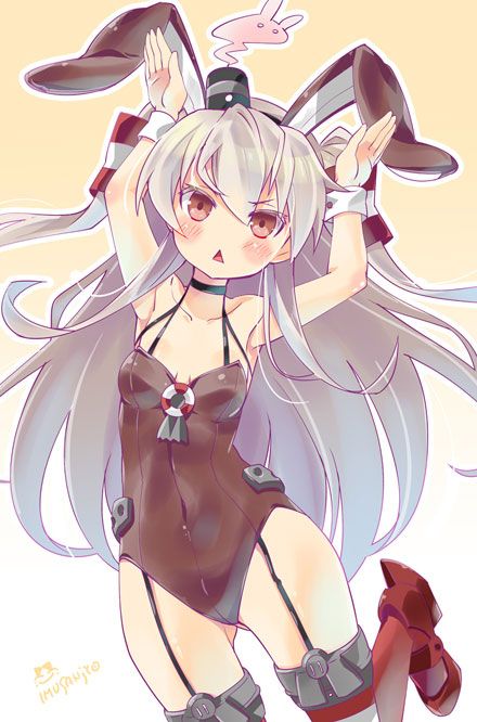 二次元兔女郎h