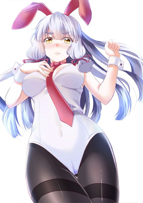 二次元兔女郎h