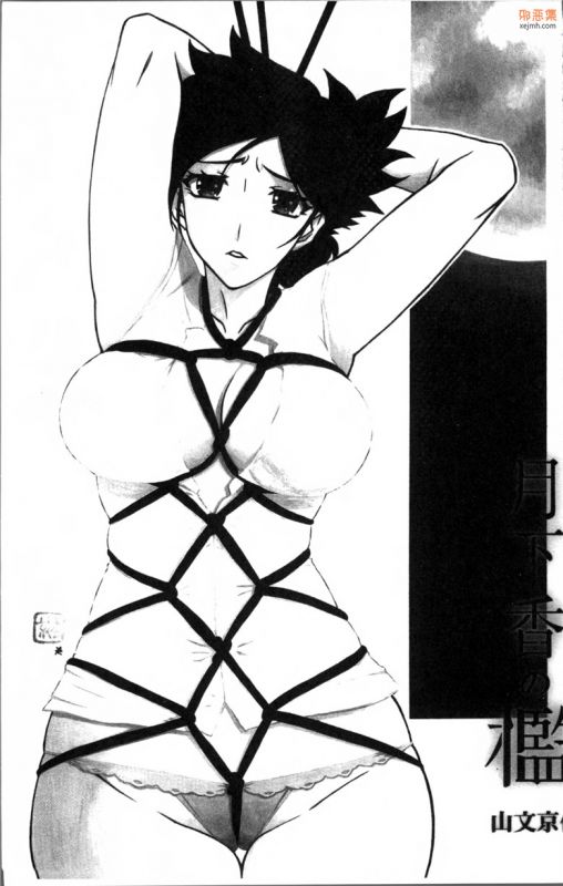 无翼鸟漫画全集