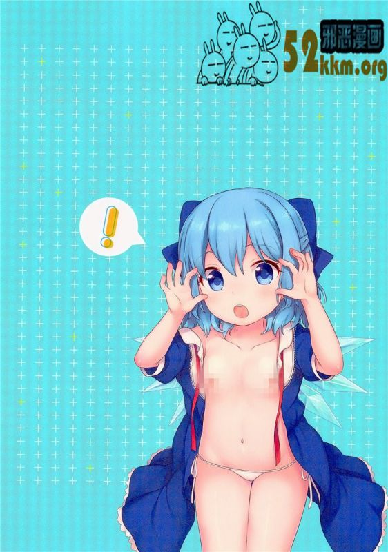 无翼乌17号