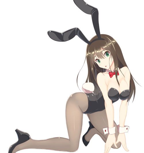 二次元兔女郎h