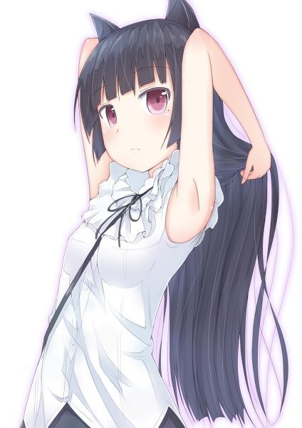 黑猫酱h本子