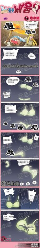 色小组：洞中