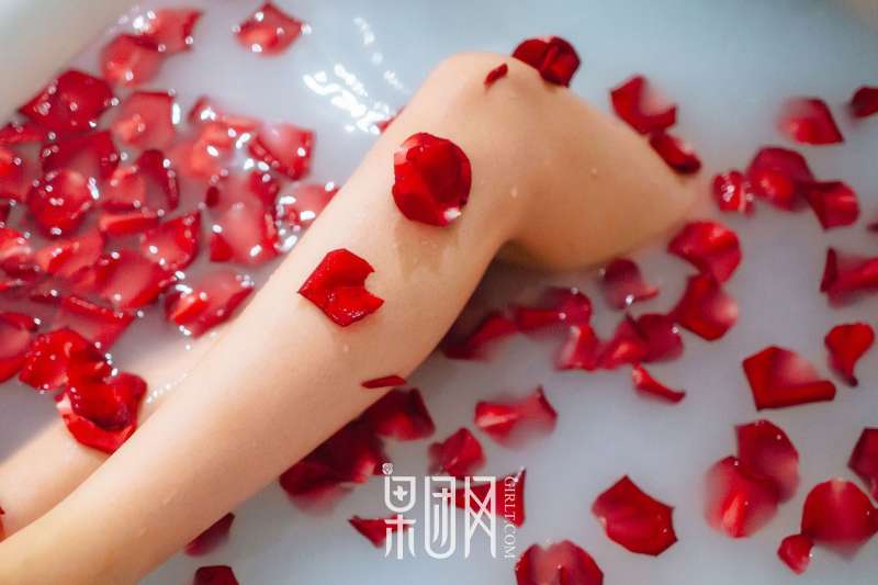 居室少女Anne - 寂寞等候君归来