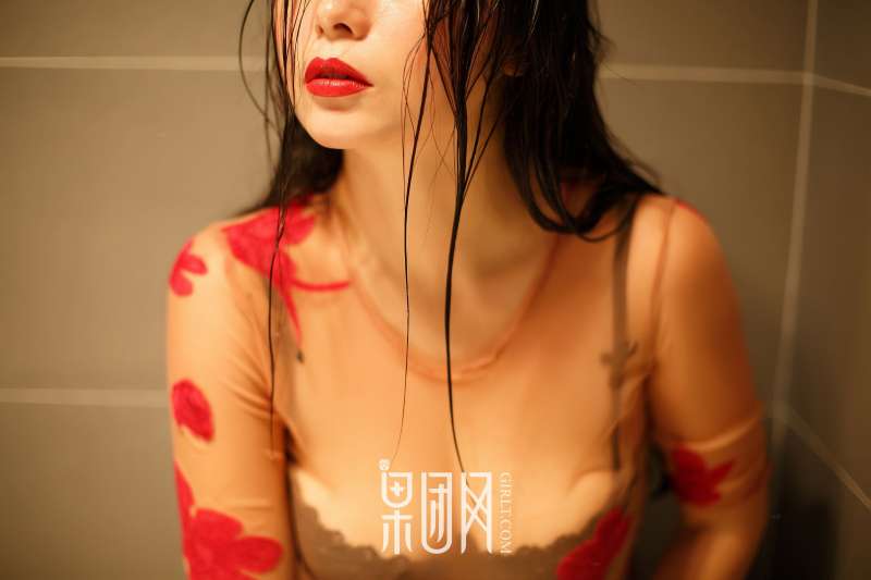 凤萧兮红霓裳，拥雪成峰兮玉无瑕写真图集