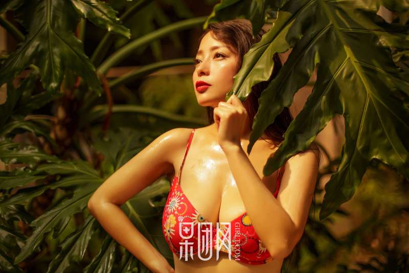 凤萧兮红霓裳，拥雪成峰兮玉无瑕写真图集