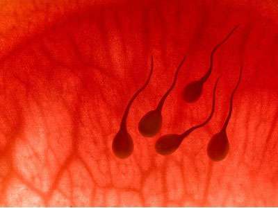 jpg 804-130FQ5354V19.jpg