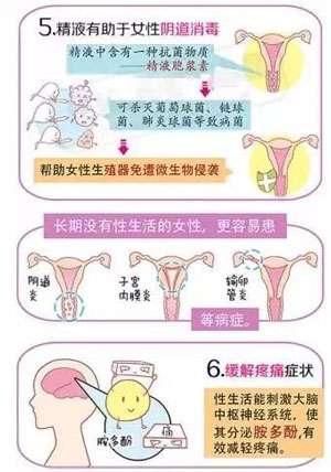 我们为什么需要性生活