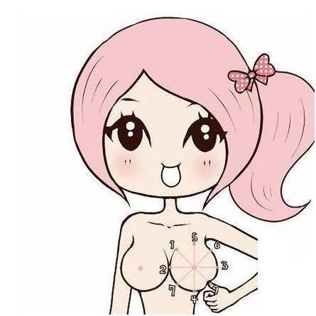 乳贴是什么，有什么作用