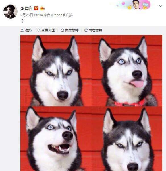 唐艺昕晒健身照疑否认怀孕：不会劈叉啊 这可咋整