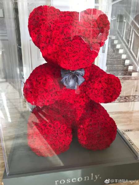 王诗龄9岁生日晒89999元巨型玫瑰熊 网友：真奢侈！