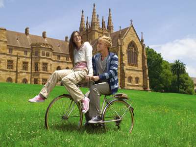 jpg 1316-11112619394322.jpg