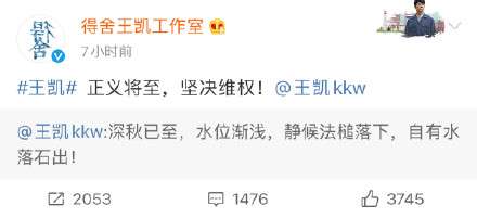 王凯回应网络谣言：静候法槌落下 自有水落石出！