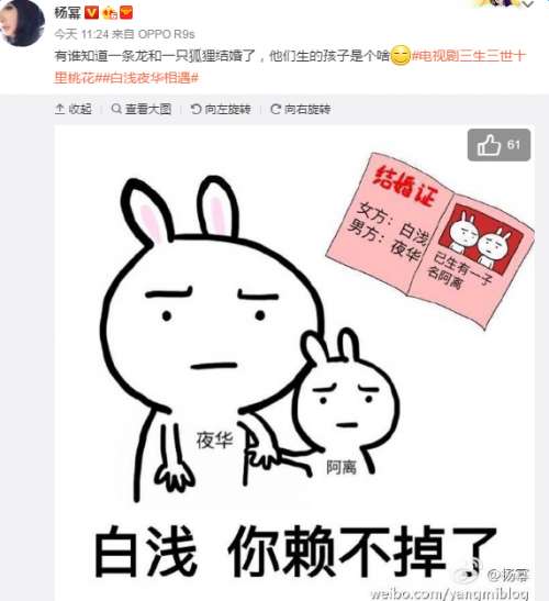 三生三世十里桃花杨幂一条龙和一只狐狸生出来的孩子是什么