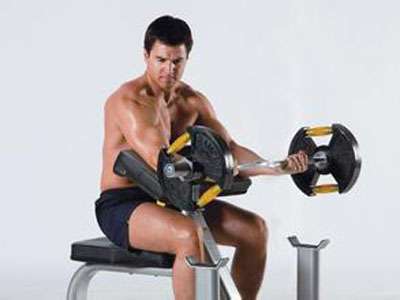 精液成分 精液成分