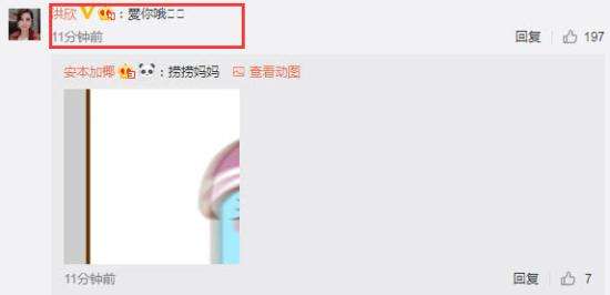 洪欣儿子张镐濂发声表白妈妈：请一定要幸福