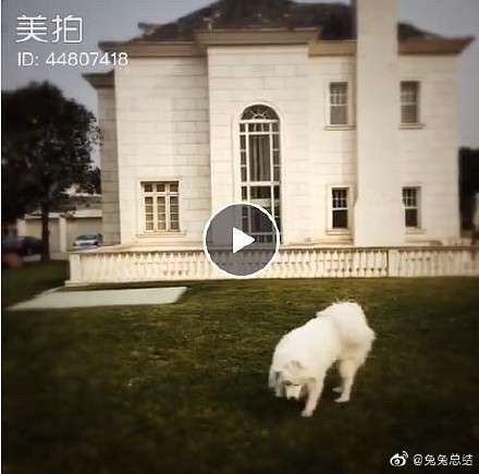 邻居出来辟谣了？证实乔欣家就在上海世茂佘山