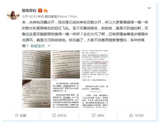 流潋紫《如懿传》抄袭了吗