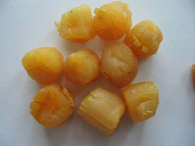 jpg 1311231324RranjYnB.jpg