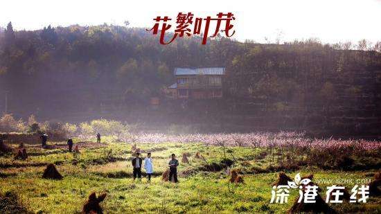 《花繁叶茂》剧照曝光 白一弘精准演绎扶贫书记
