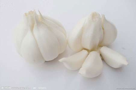 jpg 5435205_090832471000_2.jpg