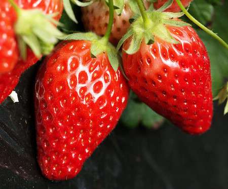 月经期间吃什么水果好 月经期间吃什么水果好