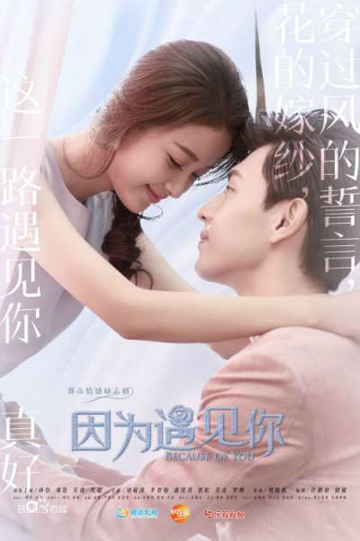 因为遇见你张果果第几集恢复记忆?金依蓓为什么出车祸