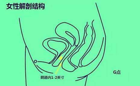 为什么会有妹子喜欢肛交？